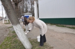 Муниципальный субботник