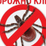 О  профилактике  клещевых инфекций - Белёвская правда