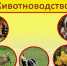 Производство  сельхозпродукции выросло - Белёвская правда