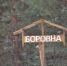 Белёвское Простоквашино - Белёвская правда