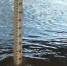 По прогнозам МЧС. Вода поднимается - Белёвская правда