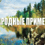 Приметы апрельской погоды - Белёвская правда