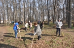 Субботник в парке