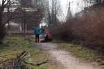 Субботник 2019 !