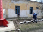 Субботник в лицах