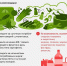 Что такое здоровое питание? - Белевский район