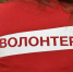 В Туле обсудили развитие добровольчества - Белёвская правда