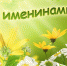 Именины сегодня - Белёвская правда