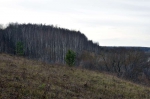 В поход!