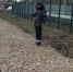 Ходить теперь стало комфортно - Белёвская правда
