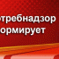 Внимание: грипп, коронавирус, другие ОРВИ - Белевский район