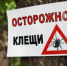 В Белевском районе ожидают активизации клещей - Белёвская правда