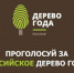 Голосование за Главное дерево страны - Белёвская правда
