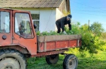 Субботник – сообща!