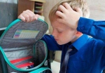Учимся учиться, Или трудные будни родителей первоклассников