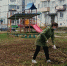 Осенняя "Неделя добра" в Белёве - Белёвская правда