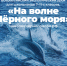 С уникальной экосистемой Черного моря познакомятся юные туляки - Белёвская правда