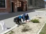 На субботнике