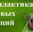 О профилактике инфекций, передающимися клешами - Белевский район