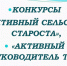 Подведены итоги  конкурса «Активный сельский староста» и «Активный руководитель ТОС» - Белевский район