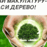 Сдай макулатуру - Спаси дерево - Белевский район