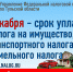 1 Декабря - Срок уплаты налогов - Белевский район