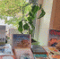 Книжная выставка «Читаем вместе всей семьей» - Библиотека имени В.А. Жуковского